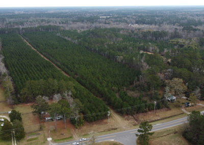 Pine View Drone Shot